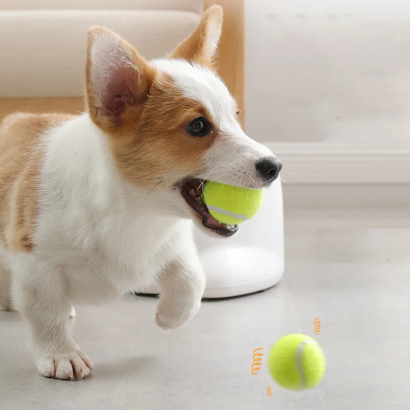 Automatic Dog Ball Launcher – Interactive Ball Throwing Machine for Dogs with 3 balls | Fun Ball Shooter & Thrower for Fetch Training