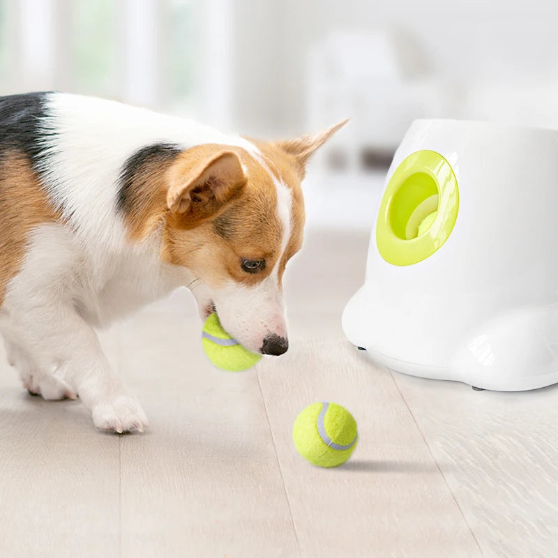 Automatic Dog Ball Launcher – Interactive Ball Throwing Machine for Dogs with 3 balls | Fun Ball Shooter & Thrower for Fetch Training