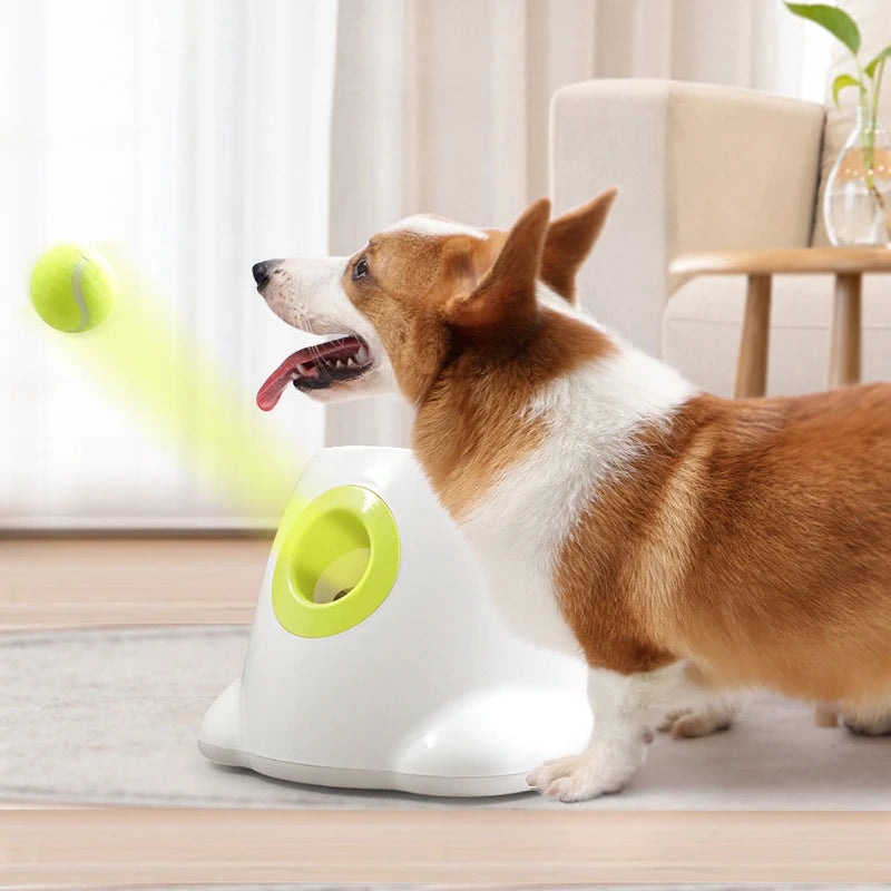 Automatic Dog Ball Launcher – Interactive Ball Throwing Machine for Dogs with 3 balls | Fun Ball Shooter & Thrower for Fetch Training