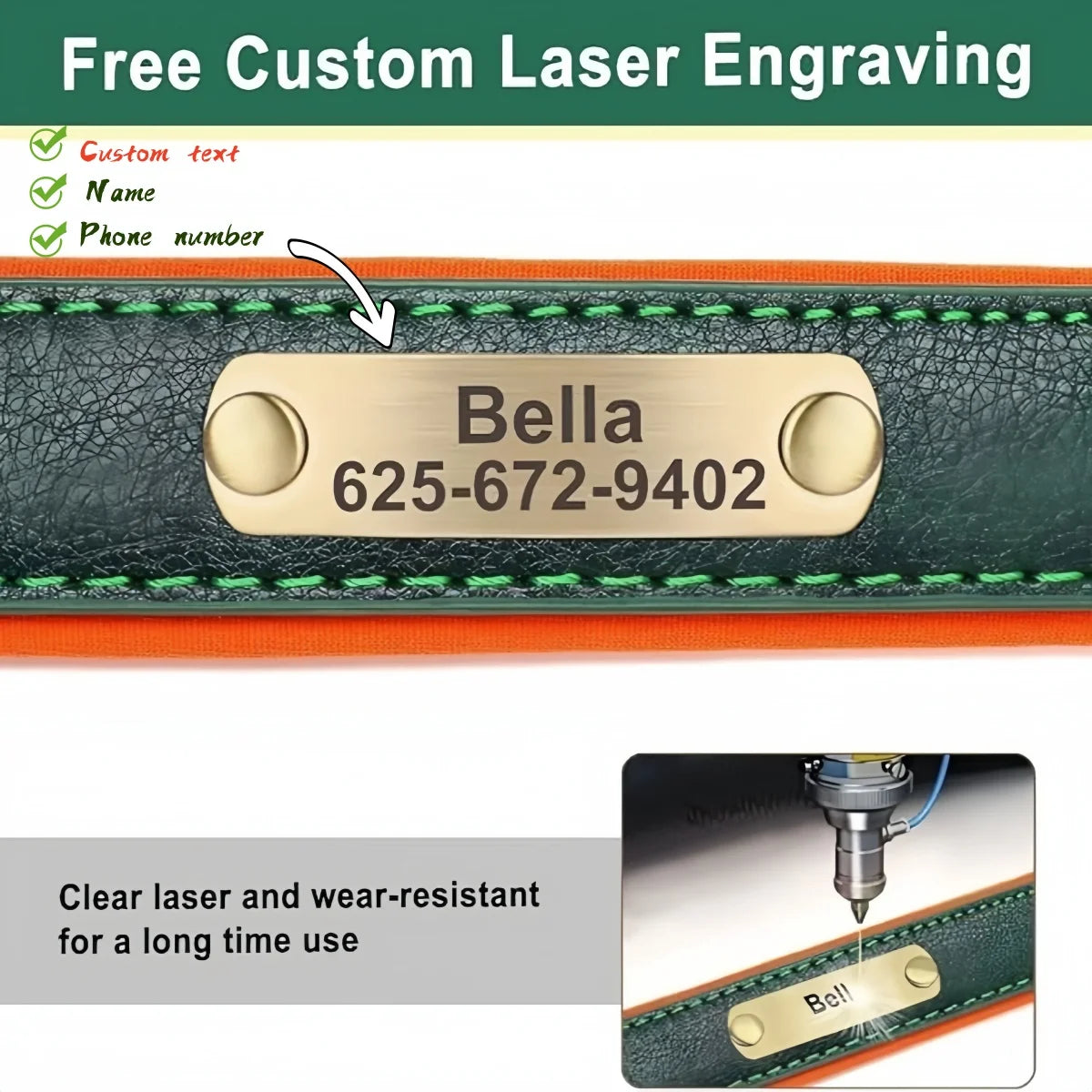 Custom Leather Dog Collar with Name Plate – Personalized Leather Collars for Dogs of All Sizes