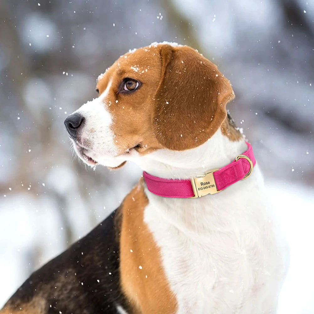 Soft Plush Personalized Dog Collar – Custom Engraved Velvet Collar with Name Tag for Small to Medium Dogs