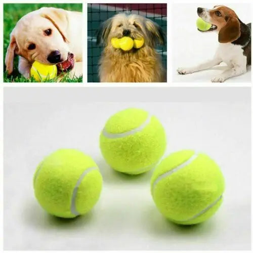 Automatic Dog Ball Launcher – Interactive Ball Throwing Machine for Dogs with 3 balls | Fun Ball Shooter & Thrower for Fetch Training