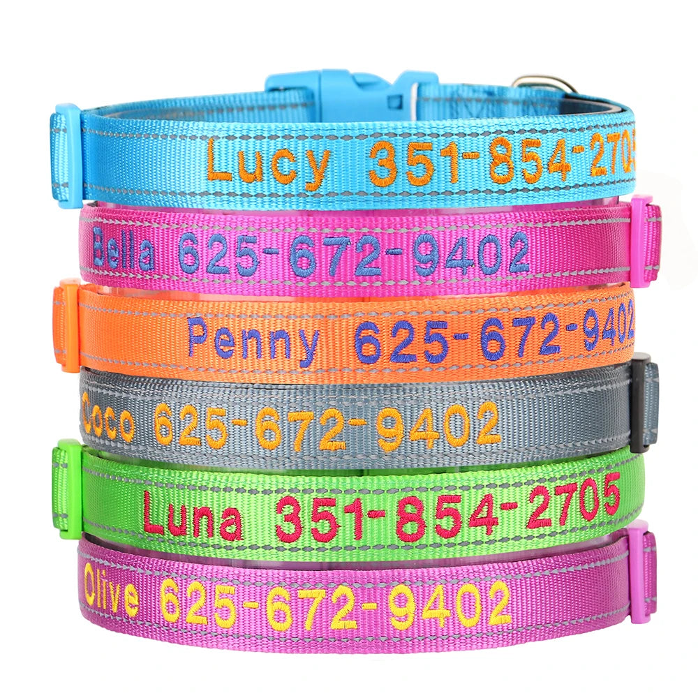 Personalized Embroidered Dog Collar – Custom, Comfortable & Built to Last