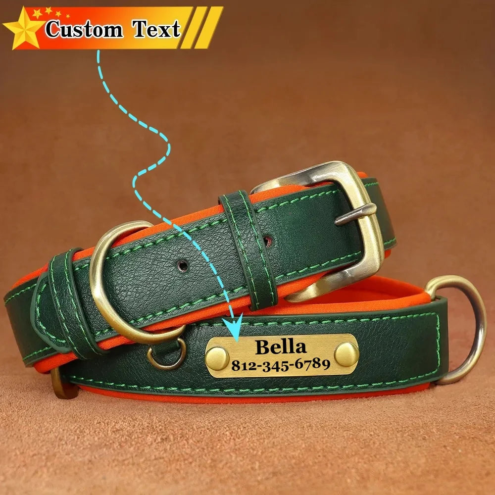 Custom Leather Dog Collar with Name Plate – Personalized Leather Collars for Dogs of All Sizes