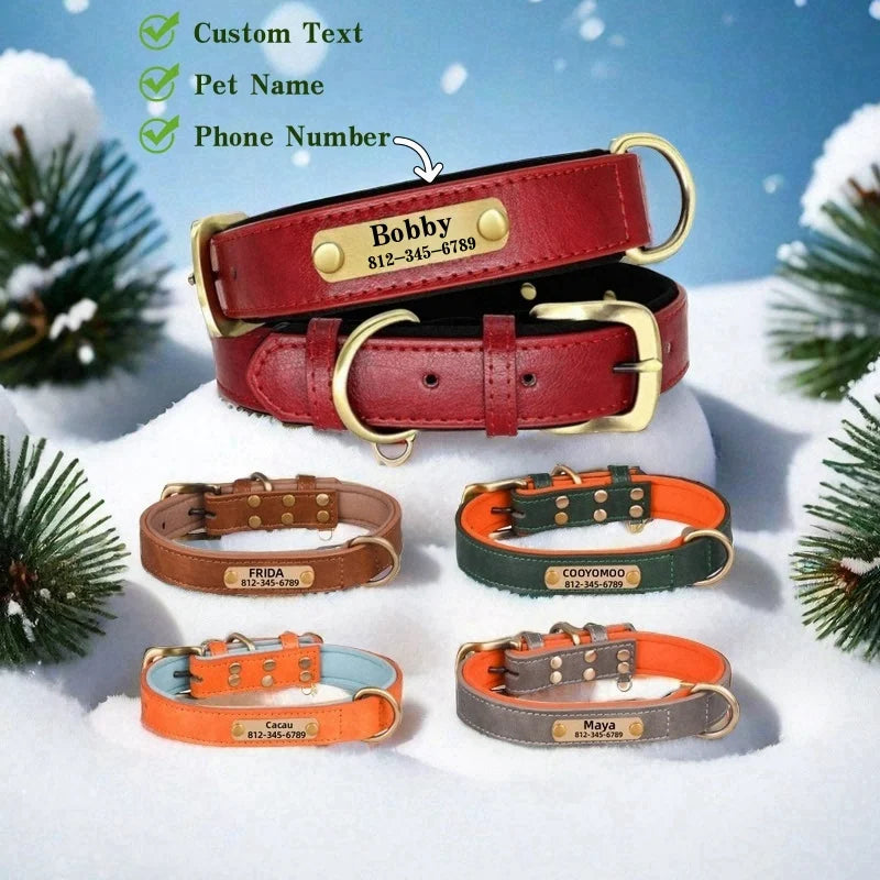Custom Leather Dog Collar with Name Plate – Personalized Leather Collars for Dogs of All Sizes