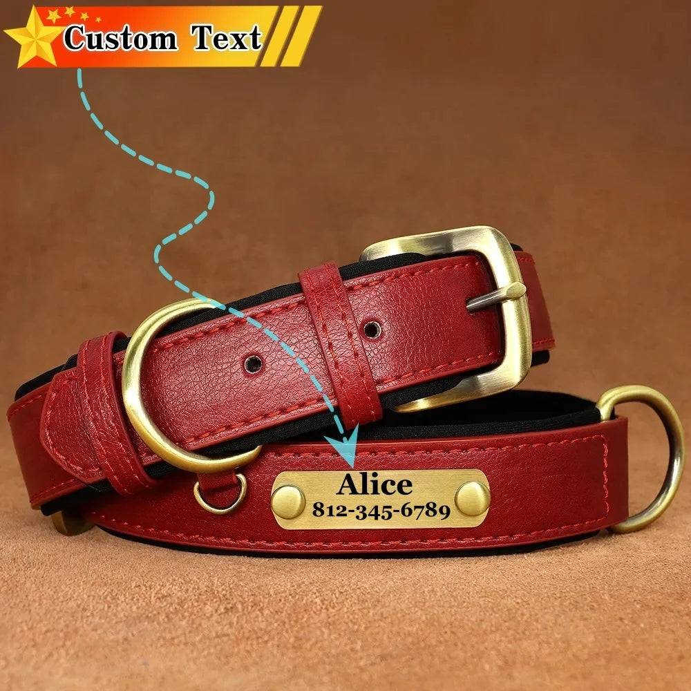 Custom Leather Dog Collar with Name Plate – Personalized Leather Collars for Dogs of All Sizes