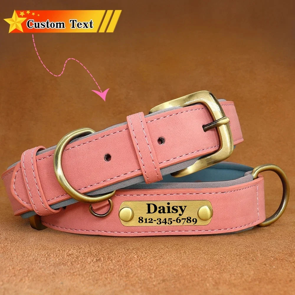 Custom Leather Dog Collar with Name Plate – Personalized Leather Collars for Dogs of All Sizes