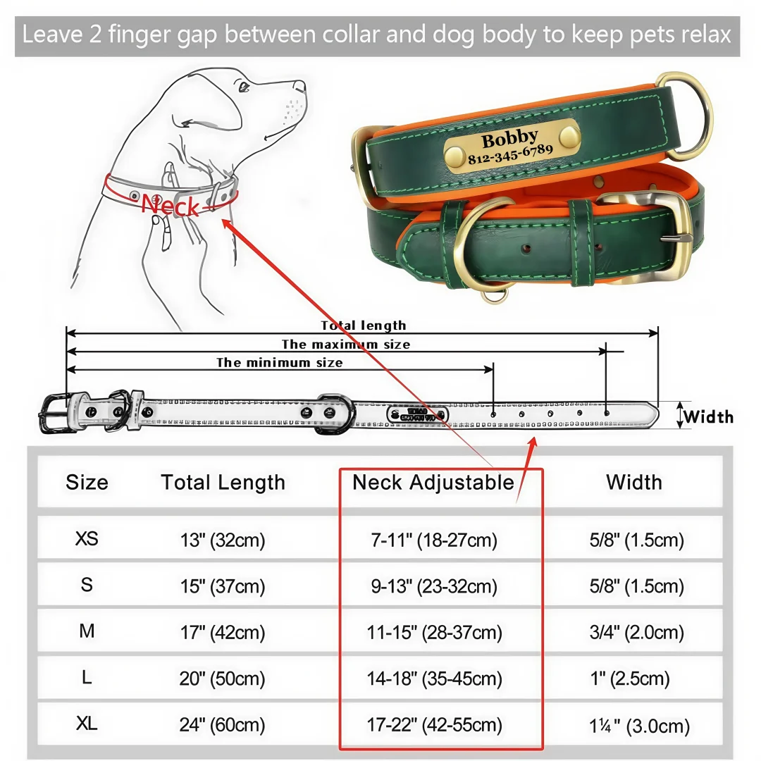 Custom Leather Dog Collar with Name Plate – Personalized Leather Collars for Dogs of All Sizes
