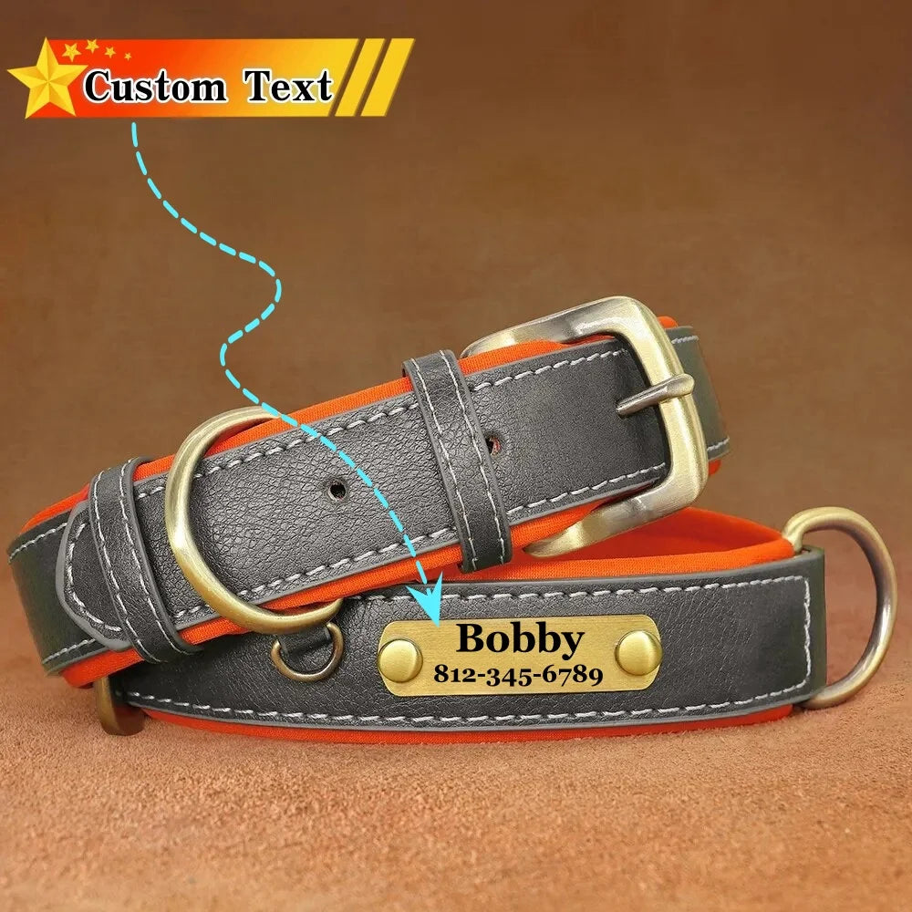 Custom Leather Dog Collar with Name Plate – Personalized Leather Collars for Dogs of All Sizes