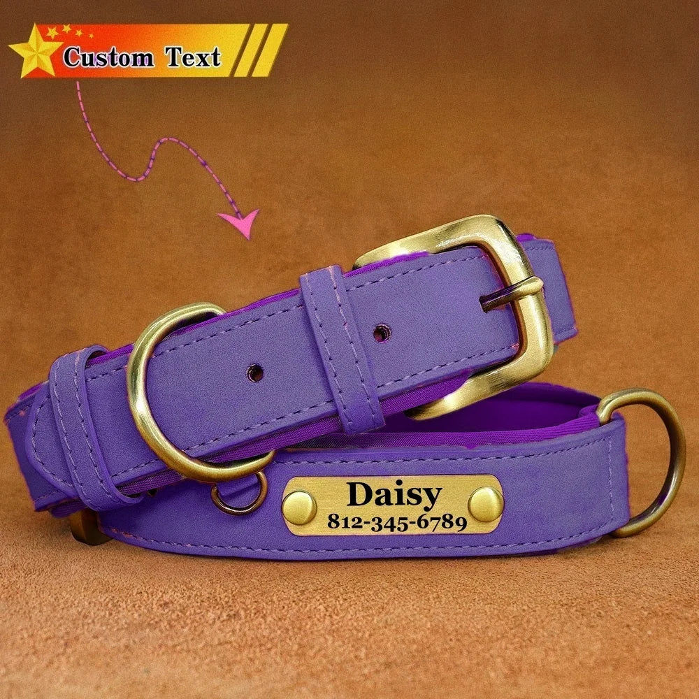 Custom Leather Dog Collar with Name Plate – Personalized Leather Collars for Dogs of All Sizes