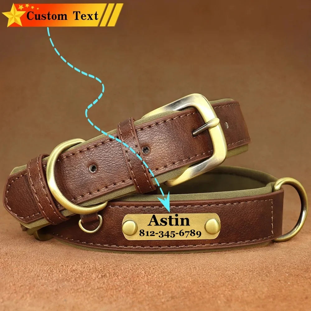 Custom Leather Dog Collar with Name Plate – Personalized Leather Collars for Dogs of All Sizes