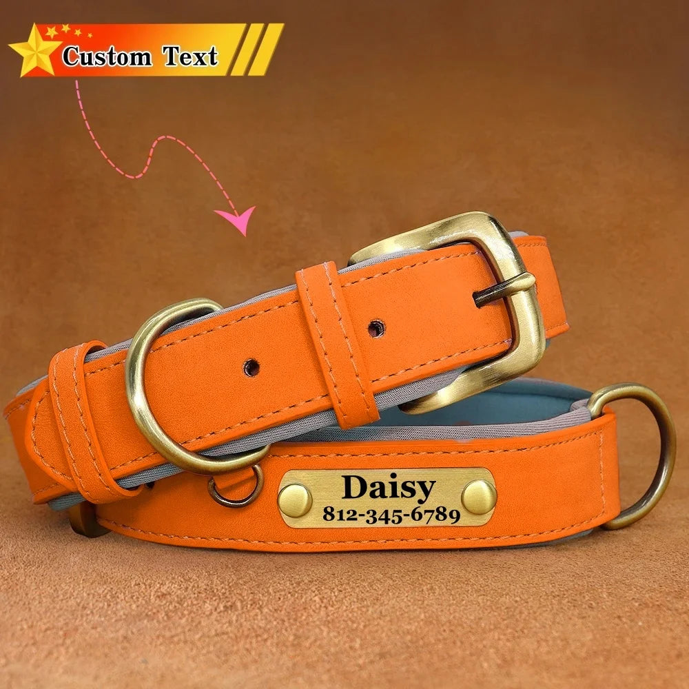 Custom Leather Dog Collar with Name Plate – Personalized Leather Collars for Dogs of All Sizes