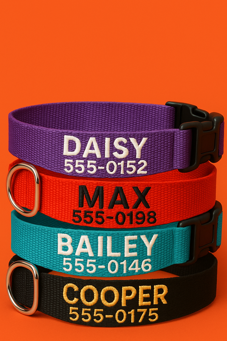 Personalized Collars