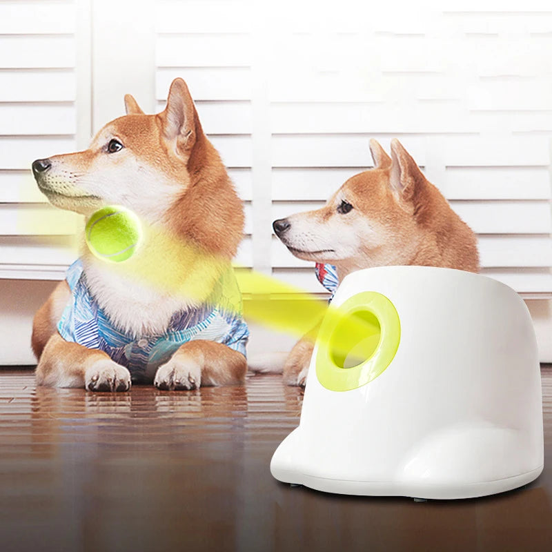 Automatic Dog Ball Launcher – Interactive Ball Throwing Machine for Dogs with 3 balls | Fun Ball Shooter & Thrower for Fetch Training