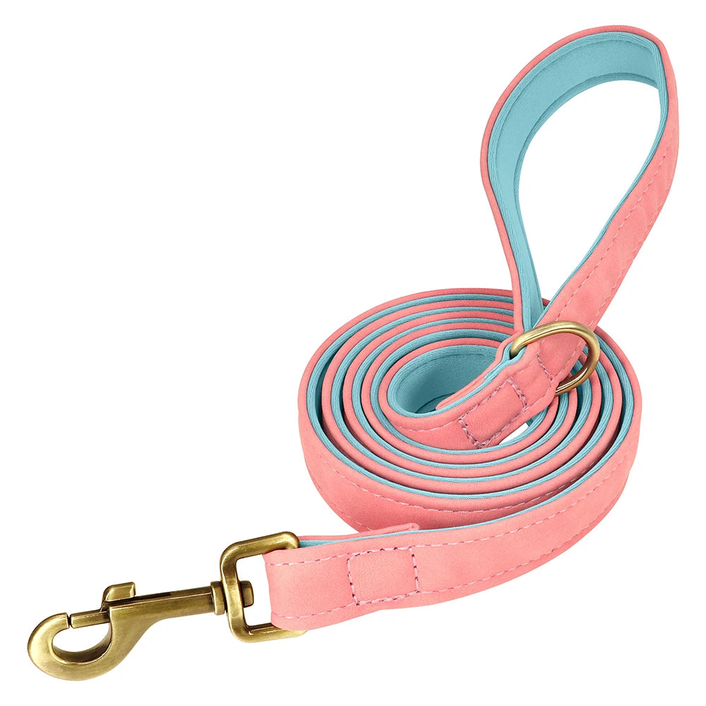 Personalized Leather Dog Collar and Leash Set – Custom Engraved Nameplate for All Sizes