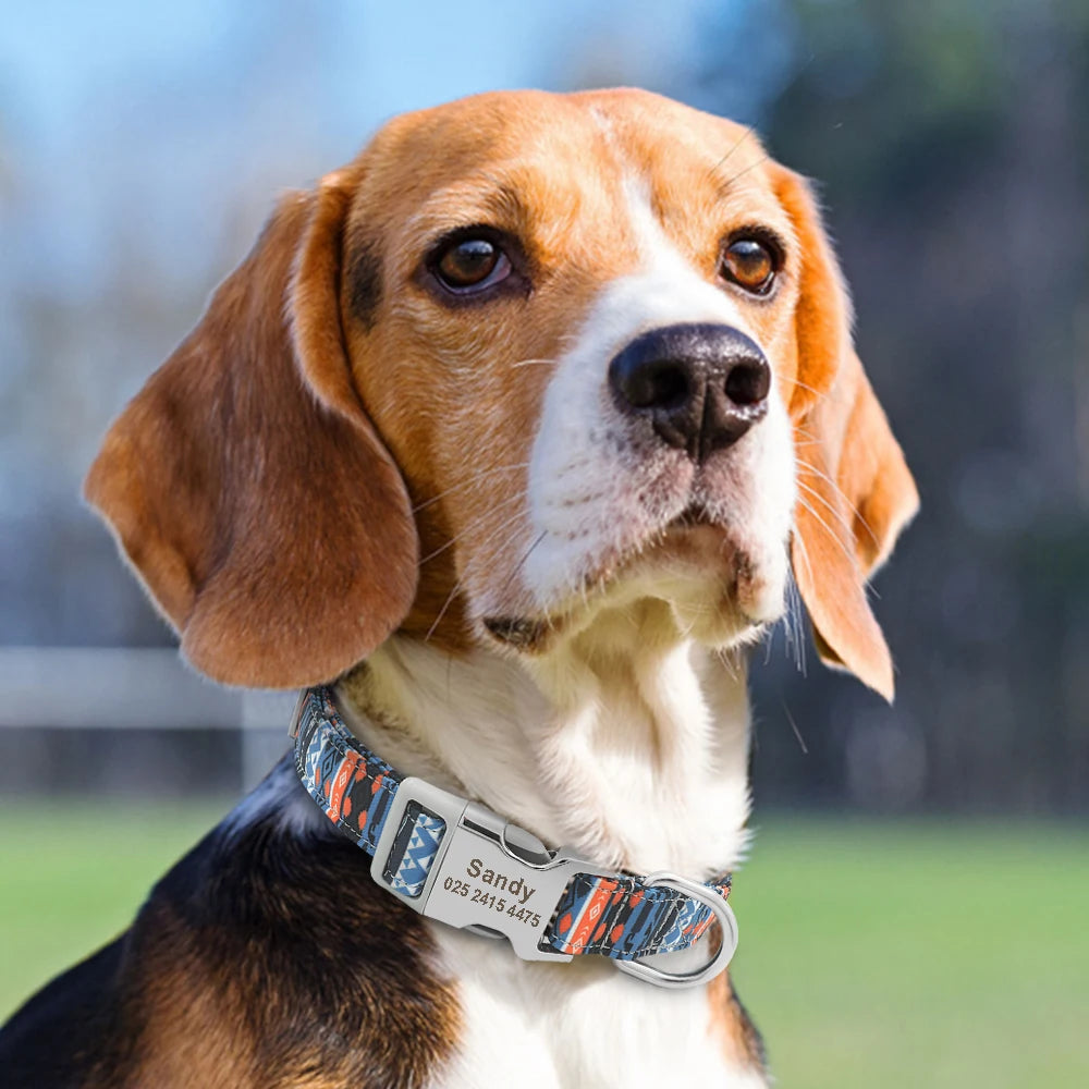 Custom Personalized Dog Collar with Name Tag – Engraved Adjustable Collar for Small, Medium & Large Dogs