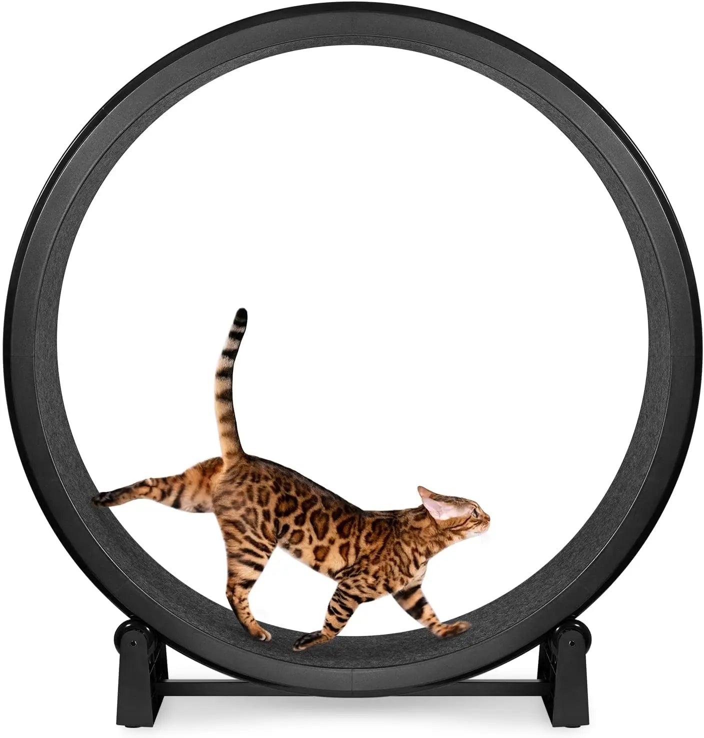 Luxury Cat Exercise Wheel – Quiet Cat Treadmill Wheel for Indoor Fitness & Fun | Best Cat Workout Wheel for Active Kittens & Cats