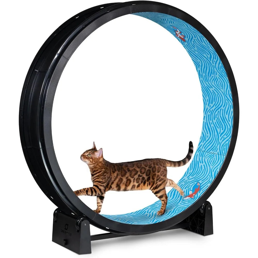 Luxury Cat Exercise Wheel – Quiet Cat Treadmill Wheel for Indoor Fitness & Fun | Best Cat Workout Wheel for Active Kittens & Cats