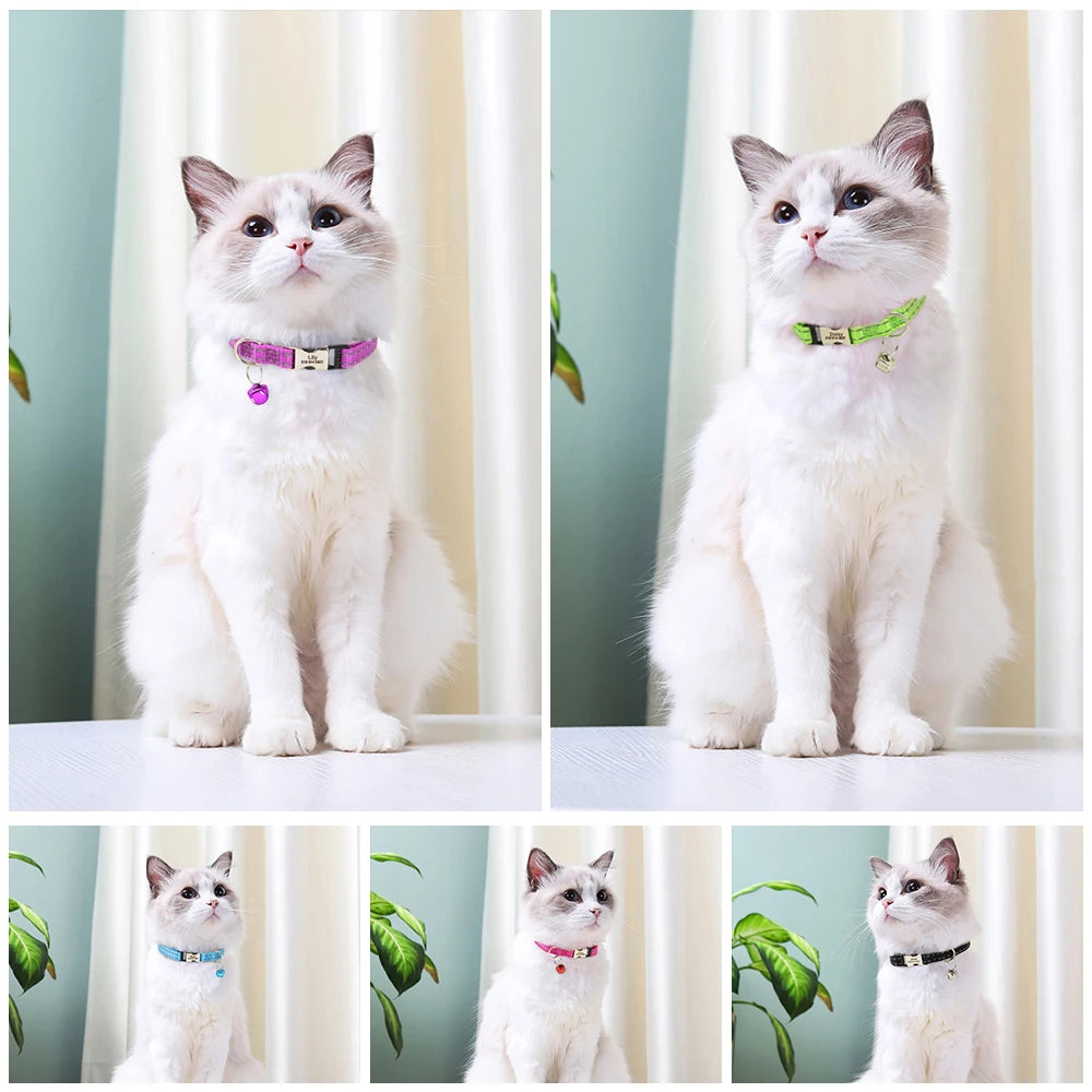 Custom Cat Collar with Name Tag – Adjustable Personalized Kitten Collar with Bell for Safety & Style