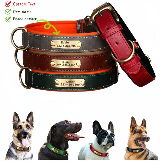 Custom Leather Dog Collar with Name Plate – Personalized Leather Collars for Dogs of All Sizes