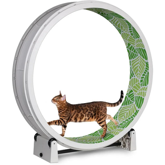 Luxury Cat Exercise Wheel – Quiet Cat Treadmill Wheel for Indoor Fitness & Fun | Best Cat Workout Wheel for Active Kittens & Cats