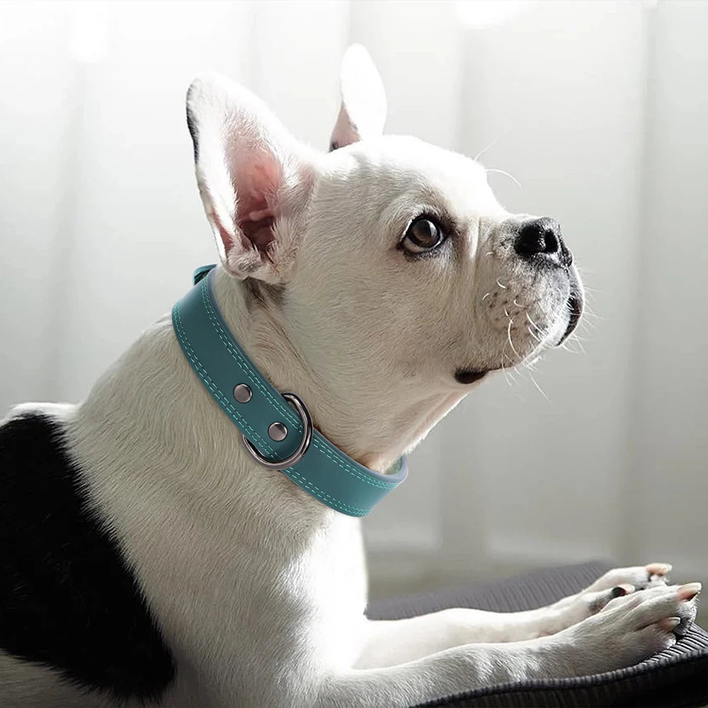 Luxury Leather Dog Collar – Premium Adjustable Leather Collar for Small, Medium & Large Dogs