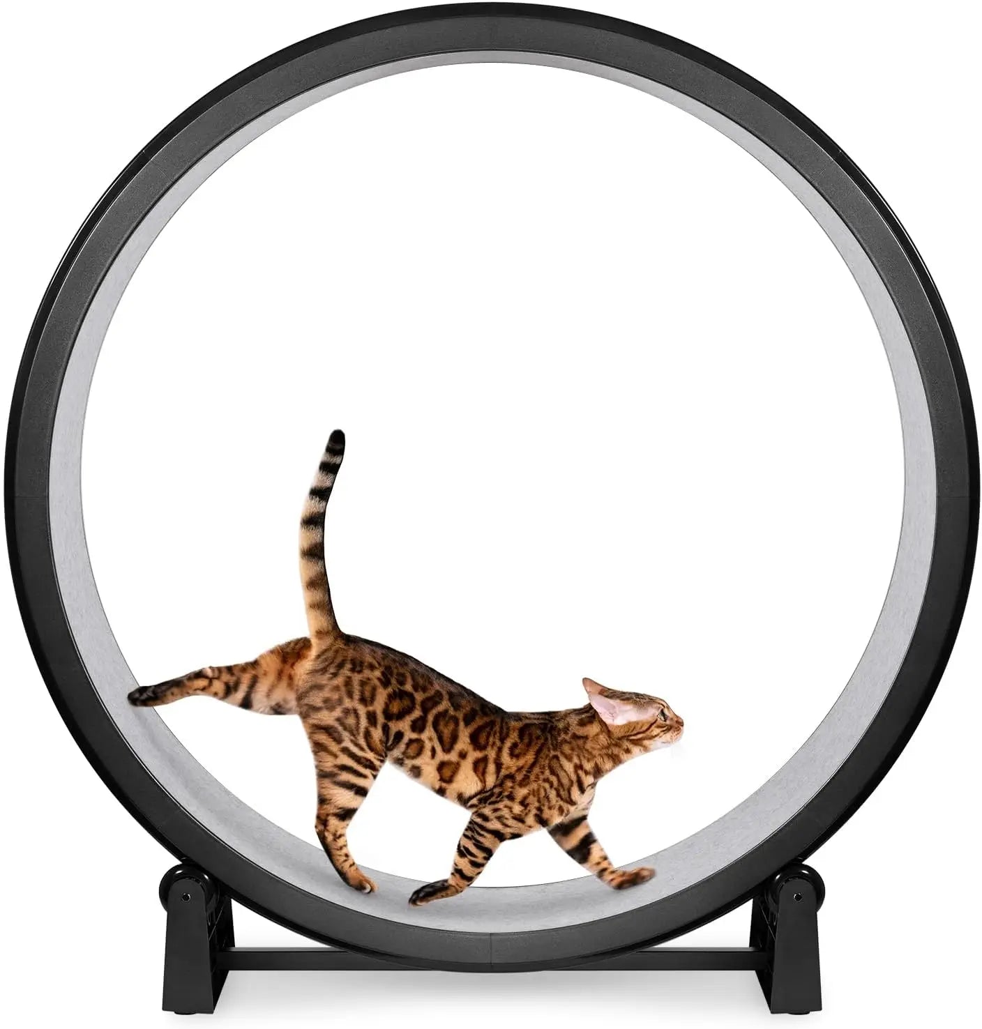 Luxury Cat Exercise Wheel – Quiet Cat Treadmill Wheel for Indoor Fitness & Fun | Best Cat Workout Wheel for Active Kittens & Cats