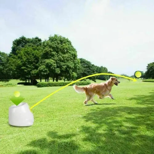 Automatic Dog Ball Launcher – Interactive Ball Throwing Machine for Dogs with 3 balls | Fun Ball Shooter & Thrower for Fetch Training