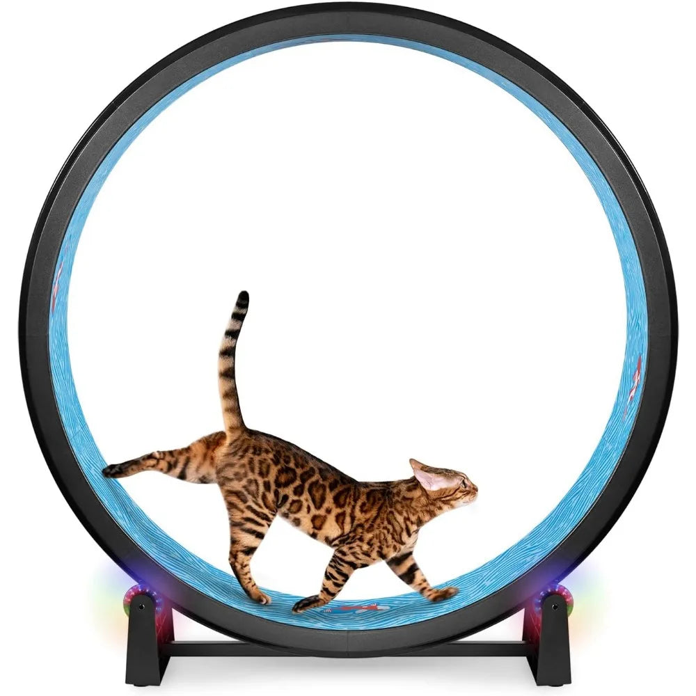 Luxury Cat Exercise Wheel – Quiet Cat Treadmill Wheel for Indoor Fitness & Fun | Best Cat Workout Wheel for Active Kittens & Cats