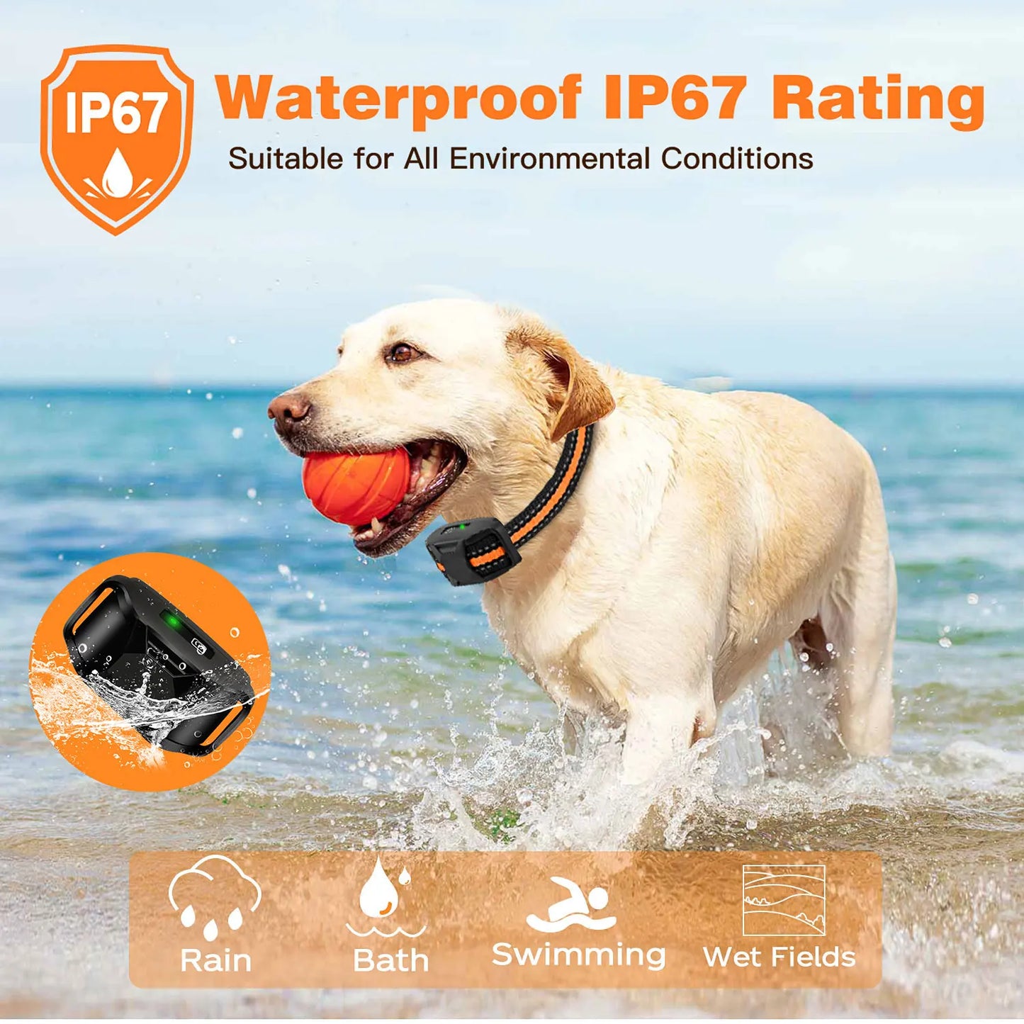 Rechargeable Shock Collar for Dogs – Best Remote Dog Training Collar with Vibration & Beep