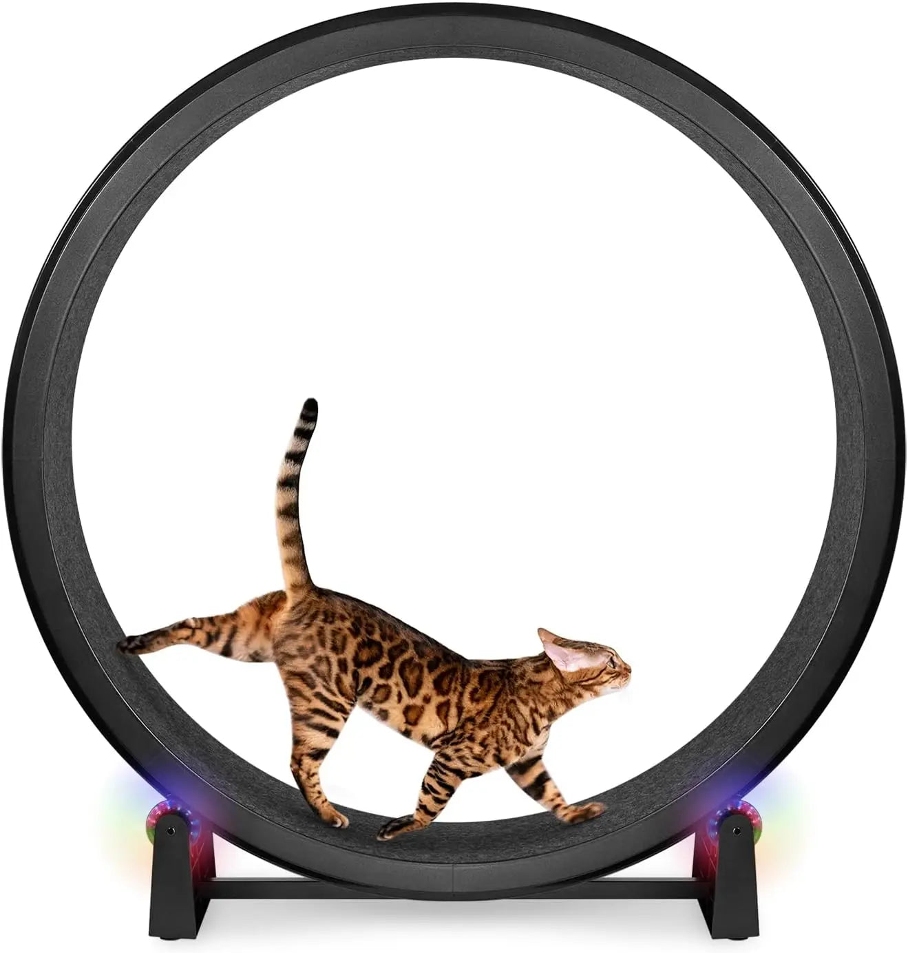 Luxury Cat Exercise Wheel – Quiet Cat Treadmill Wheel for Indoor Fitness & Fun | Best Cat Workout Wheel for Active Kittens & Cats
