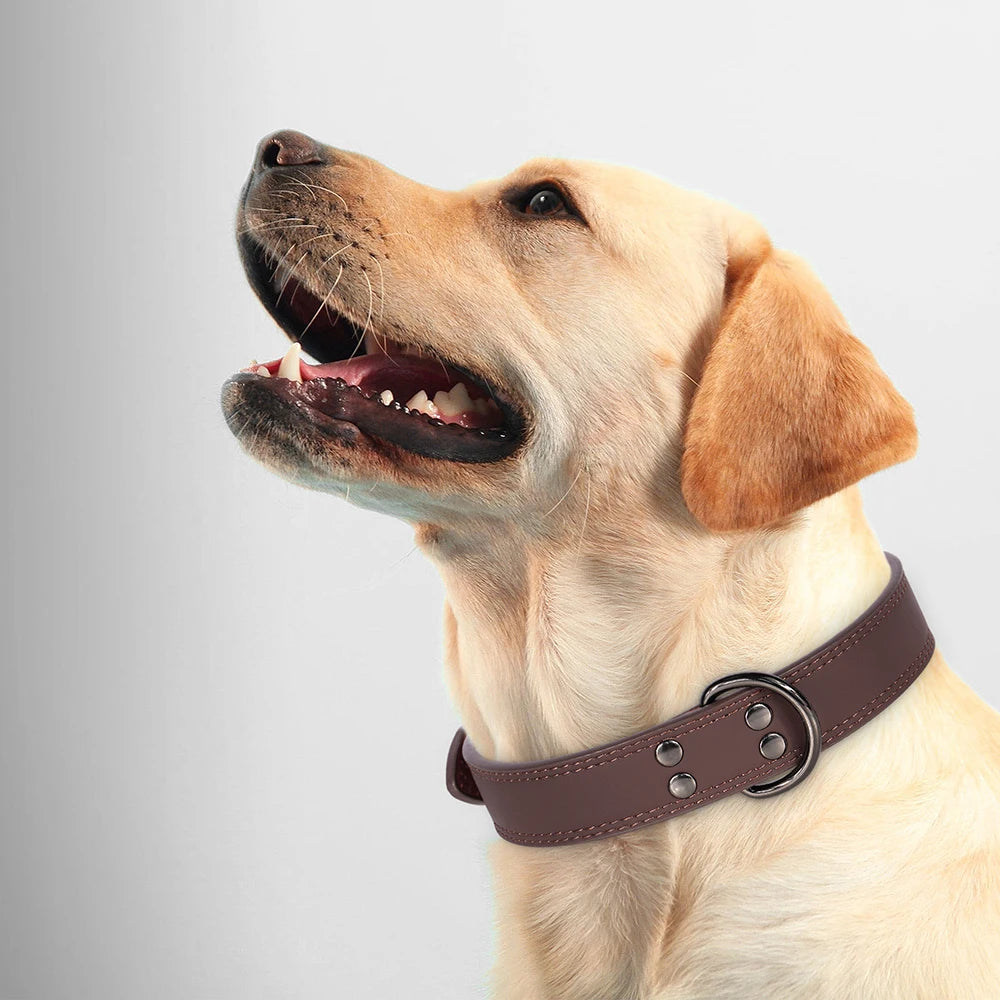 Luxury Leather Dog Collar – Premium Adjustable Leather Collar for Small, Medium & Large Dogs