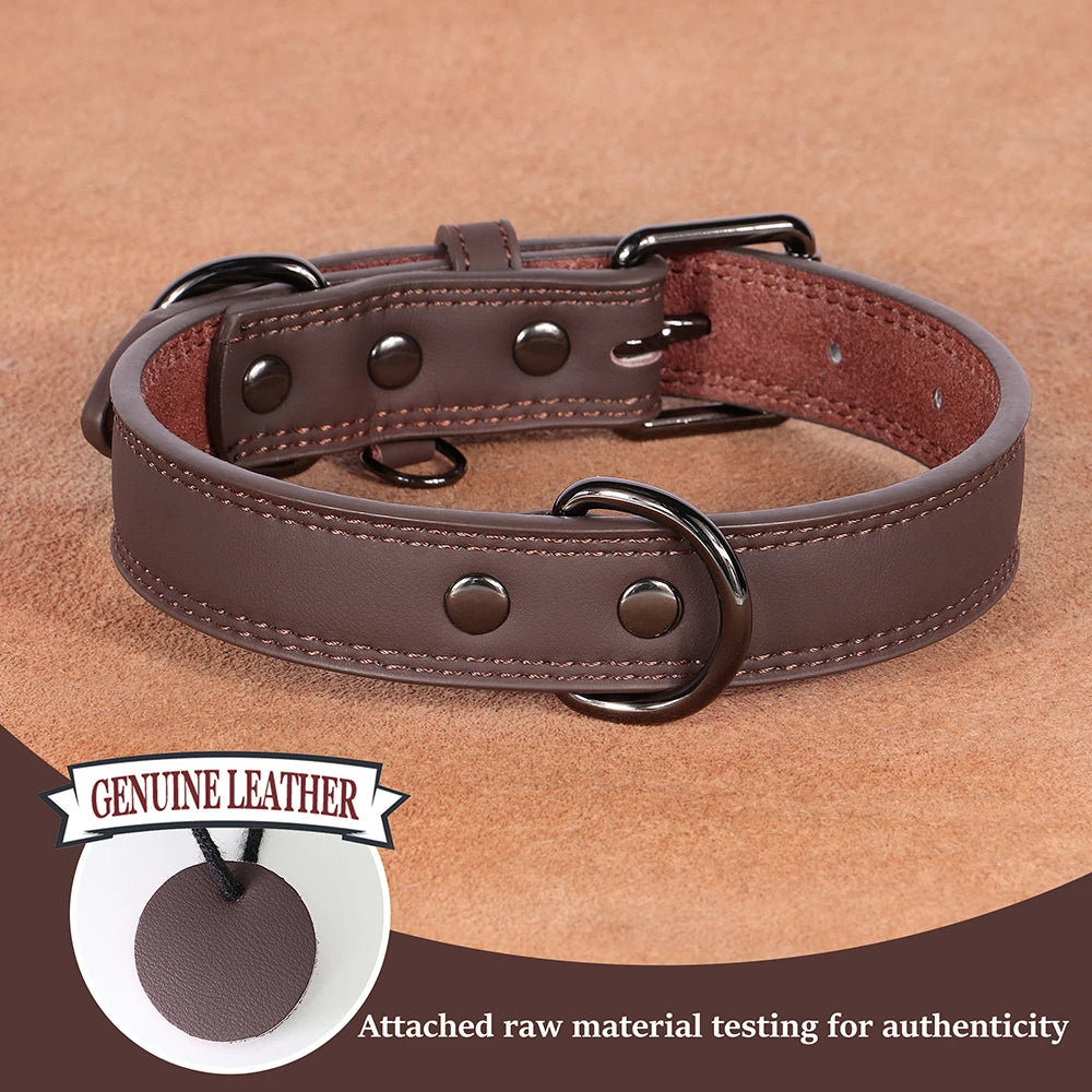 Luxury Leather Dog Collar – Premium Adjustable Leather Collar for Small, Medium & Large Dogs