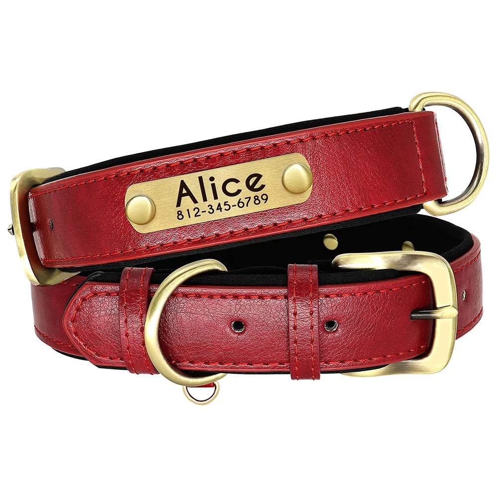 Personalized Leather Dog Collar and Leash Set – Custom Engraved Nameplate for All Sizes