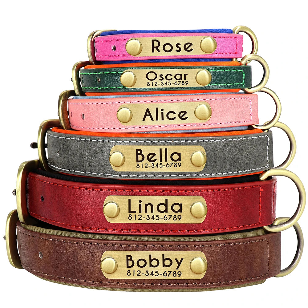 Personalized Leather Dog Collar and Leash Set – Custom Engraved Nameplate for All Sizes