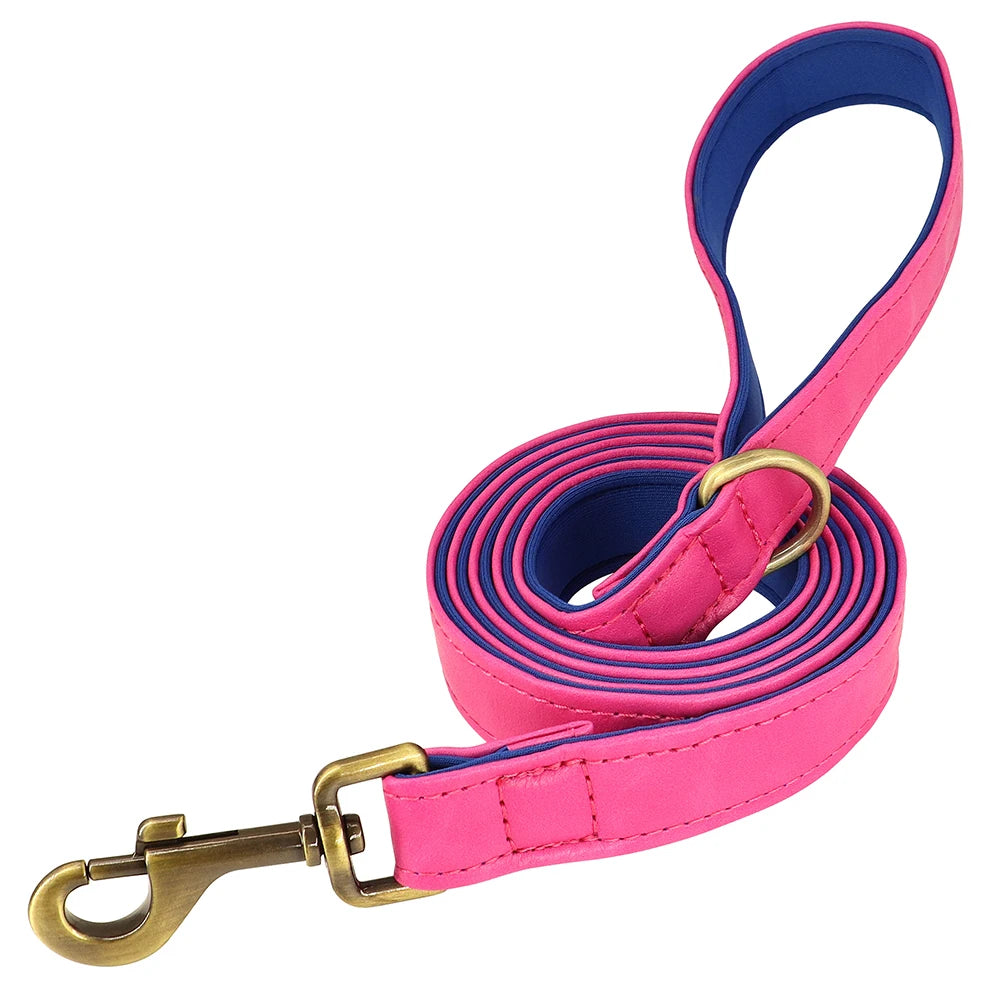 Personalized Leather Dog Collar and Leash Set – Custom Engraved Nameplate for All Sizes