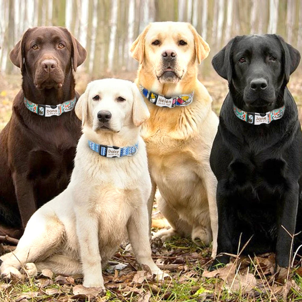 Custom Personalized Dog Collar with Name Tag – Engraved Adjustable Collar for Small, Medium & Large Dogs