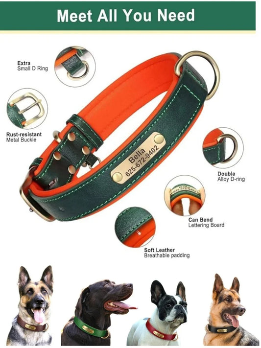 Custom Leather Dog Collar with Name Plate – Personalized Leather Collars for Dogs of All Sizes