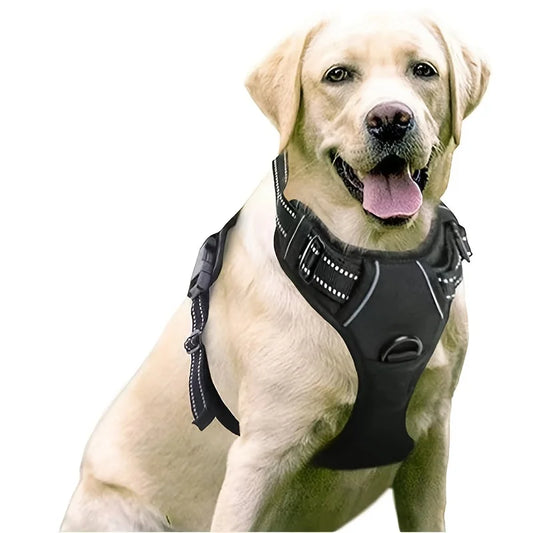 Premium No-Pull Dog Harness with 2 Leash Clips – Safe, Comfortable & Built for Daily Adventures!