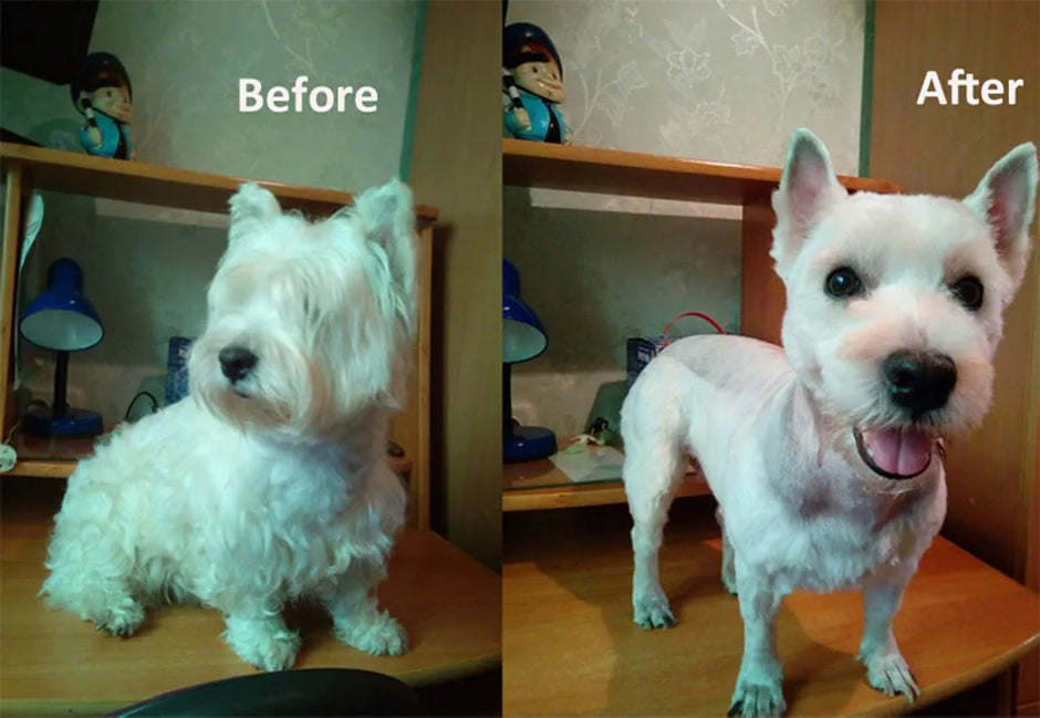 Dog Hair Trimmer – Professional Dog Grooming Clippers for Thick & Matted Hair