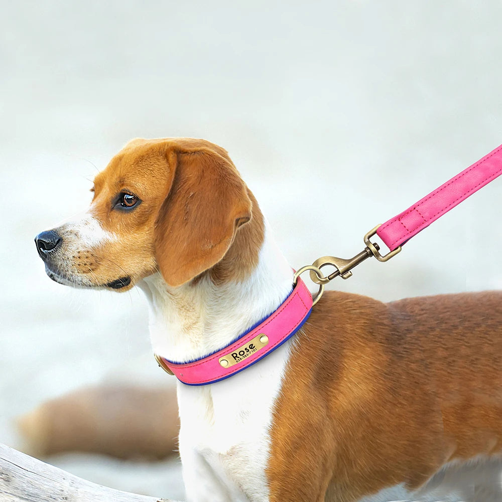 Personalized Leather Dog Collar and Leash Set – Custom Engraved Nameplate for All Sizes